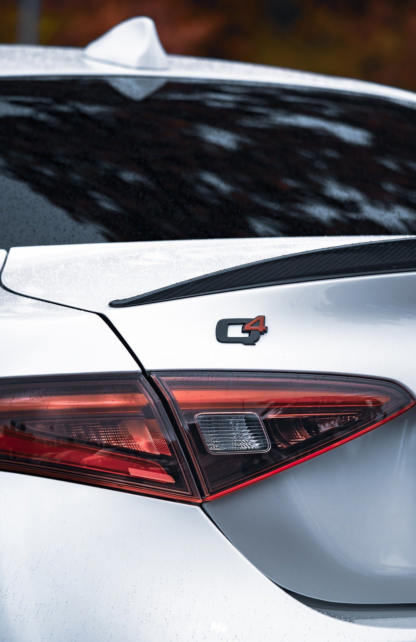 Auto ammesse - Raduni Dinamici 4 q4